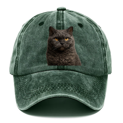 selkirk-rex-curly-charm Hat