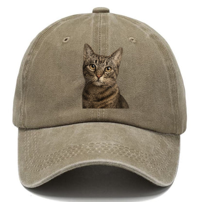 curious-cat-inquisitive-nature Hat