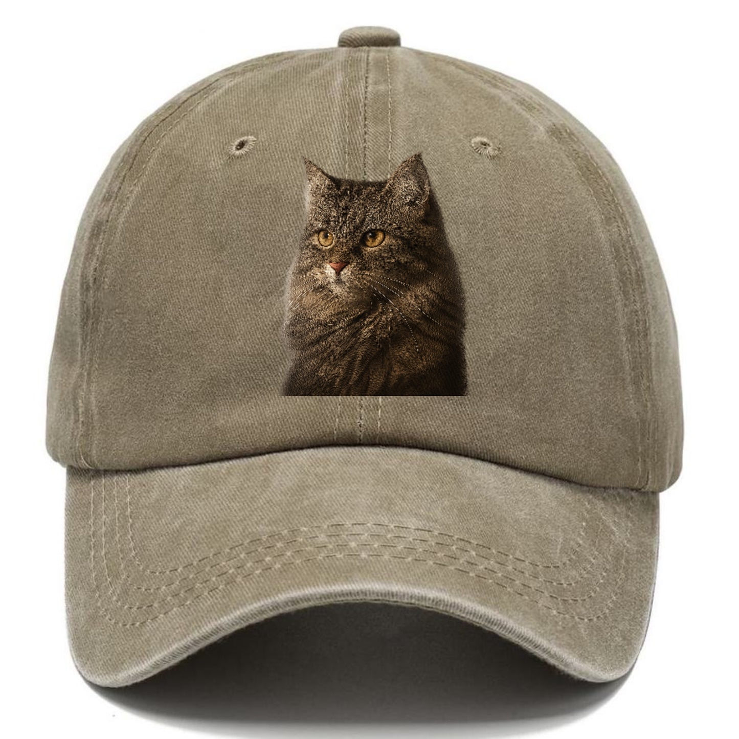 domestic-longhair-graceful-charm Hat