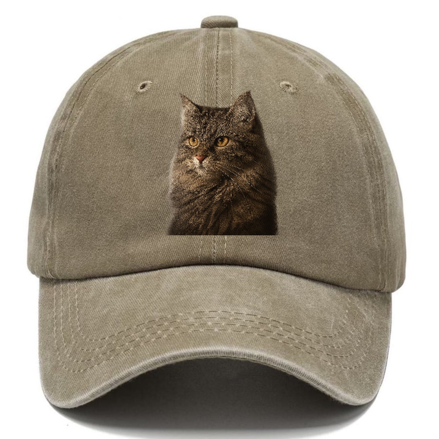 domestic-longhair-graceful-charm Hat