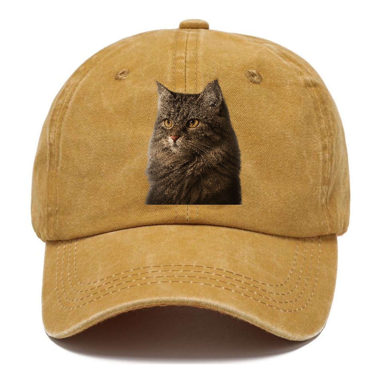 domestic-longhair-graceful-charm Hat