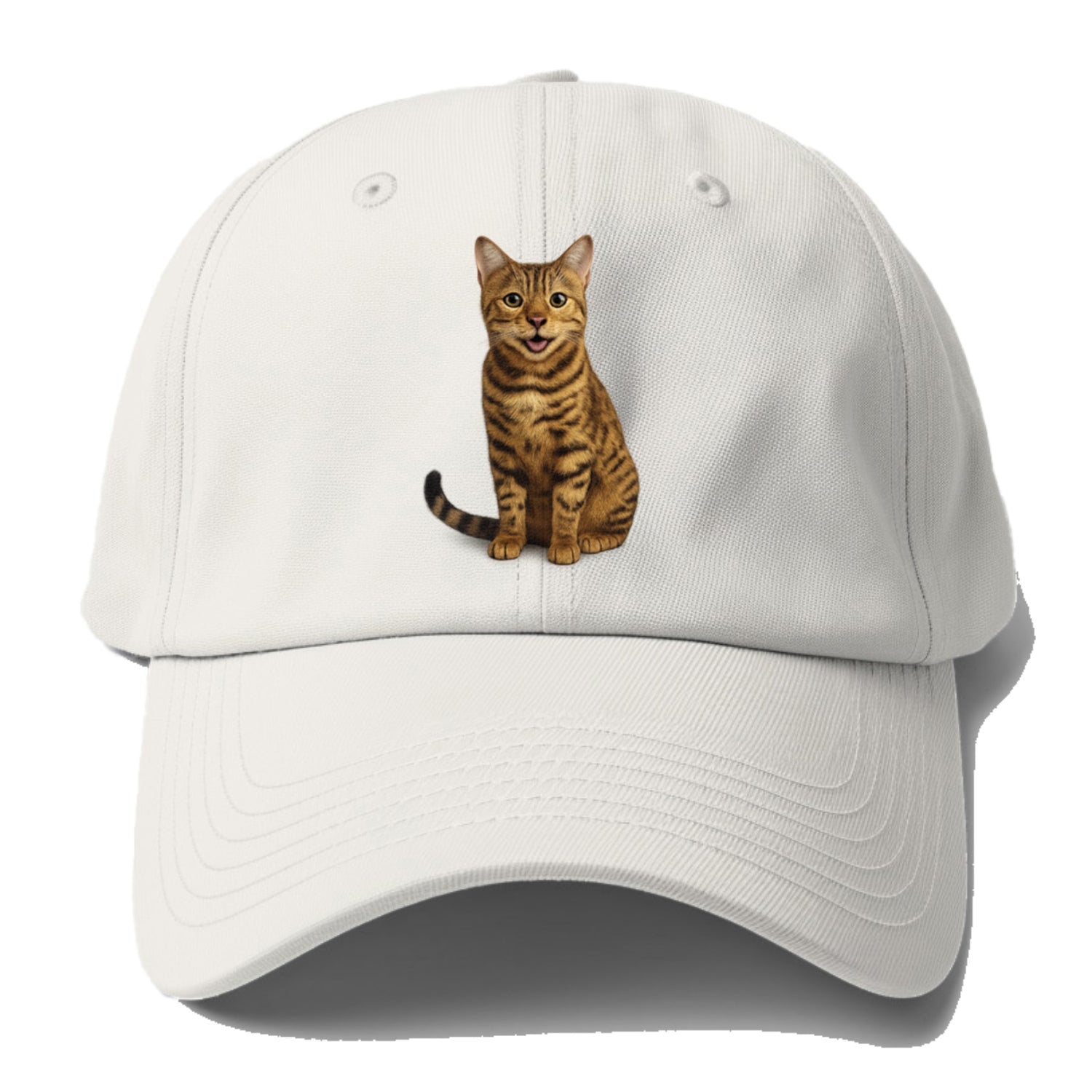whiskered wonders Hat