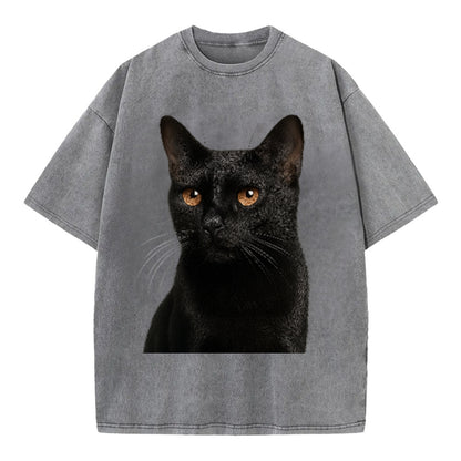 bombay-sleek-charm Hat