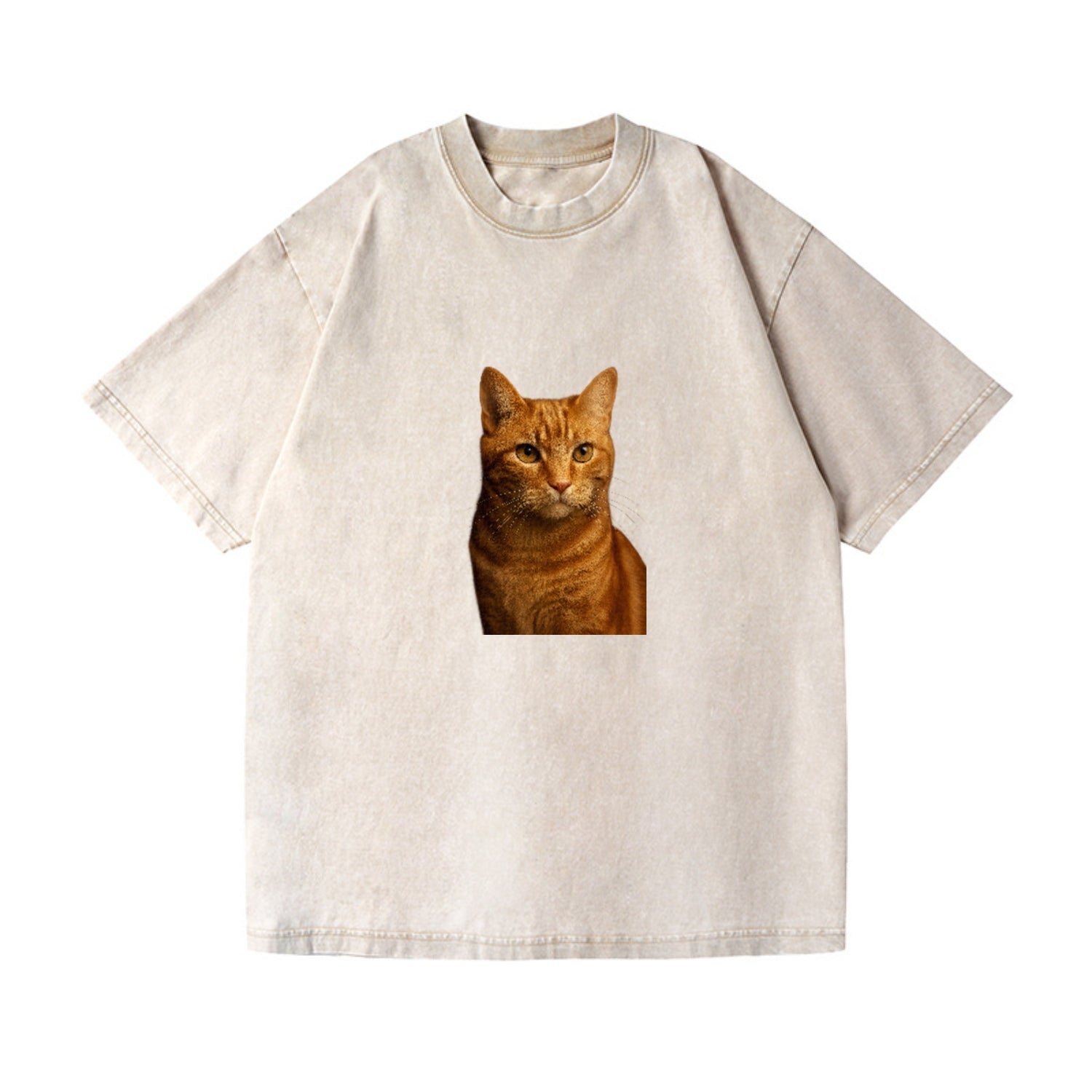 orange-tabby-playful-purr Hat