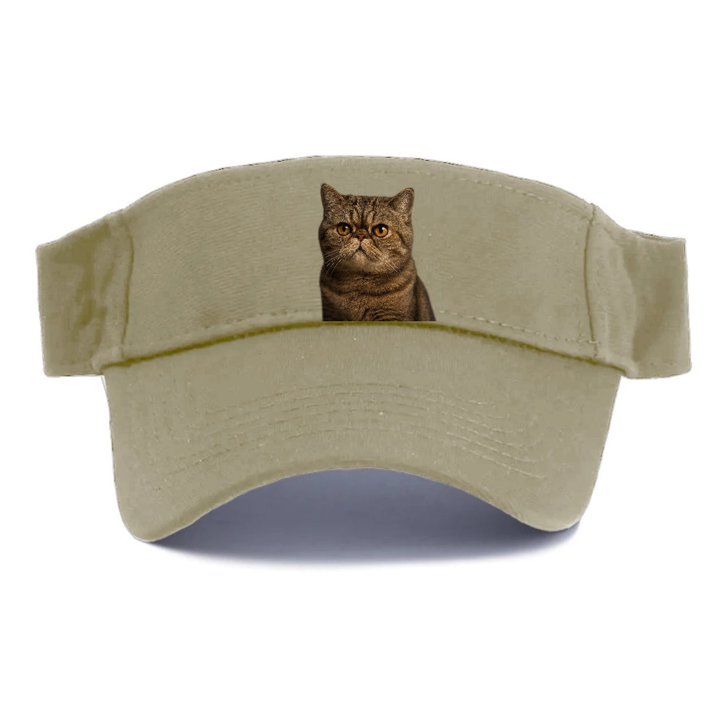 exotic-shorthair-charm Hat