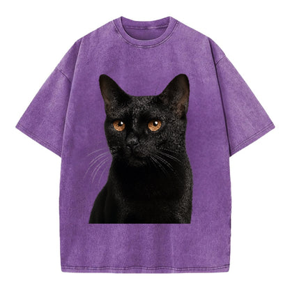 bombay-sleek-charm Hat