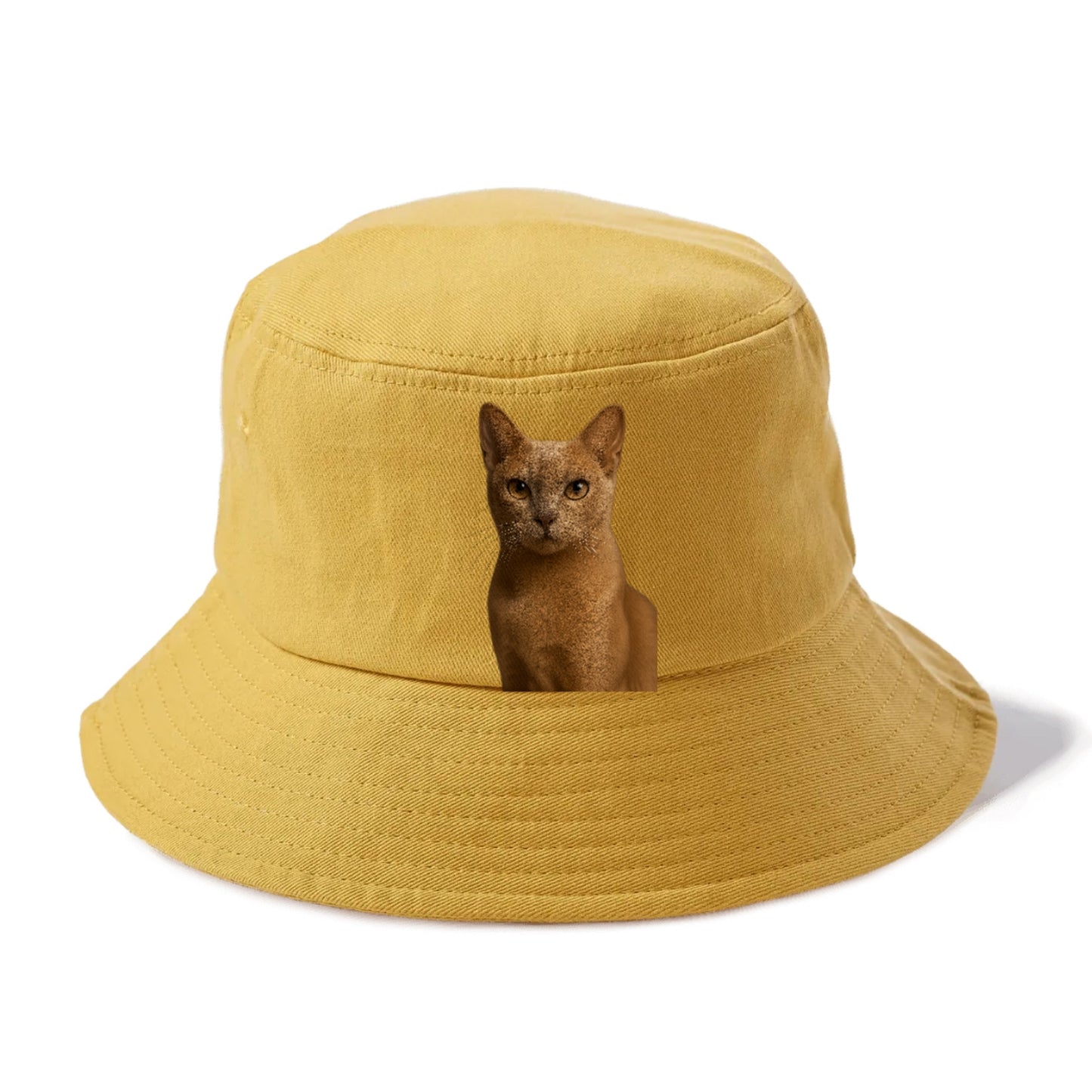 fawn-cat-playful-spirit Hat