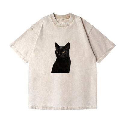 bombay-sleek-mystique Hat