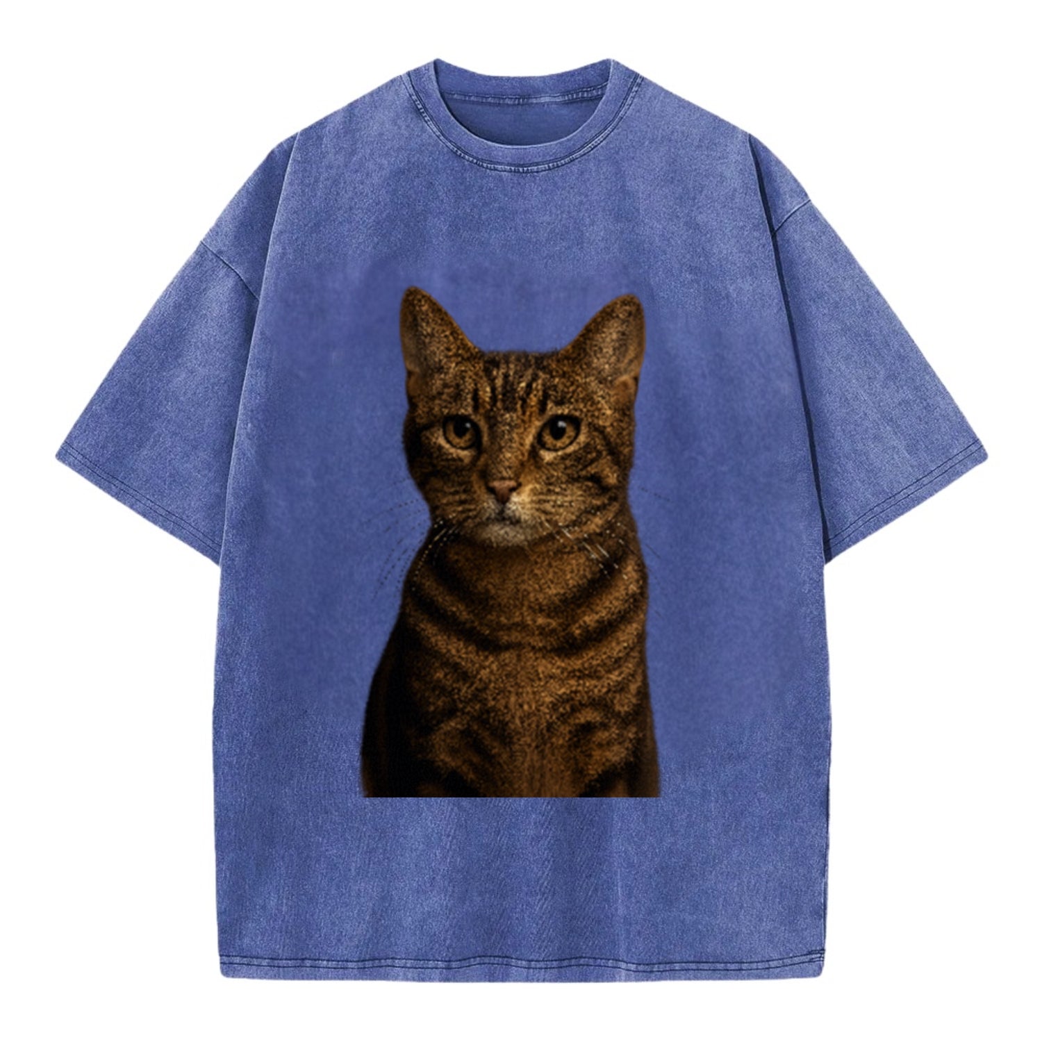 brown-tabby-playful-spirit Hat