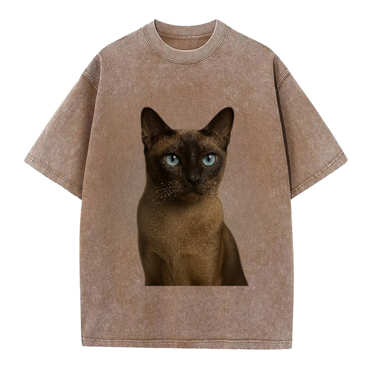 tonkinese-playful-spirit Hat