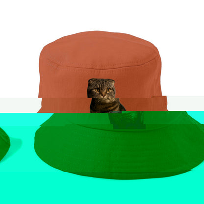 scottish-fold-curious-charm Hat