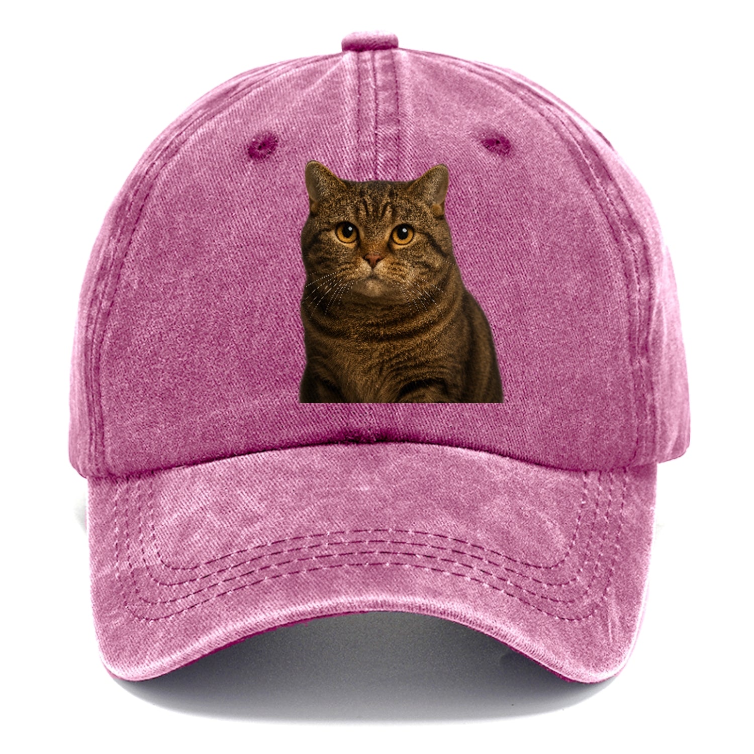 manx-cat-distinct-charm Hat