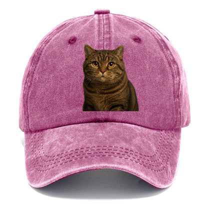manx-cat-distinct-charm Hat