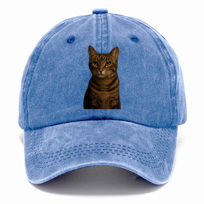 brown-tabby-playful-spirit Hat