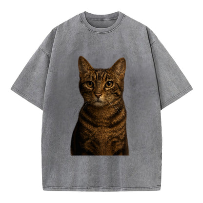 brown-tabby-playful-spirit Hat