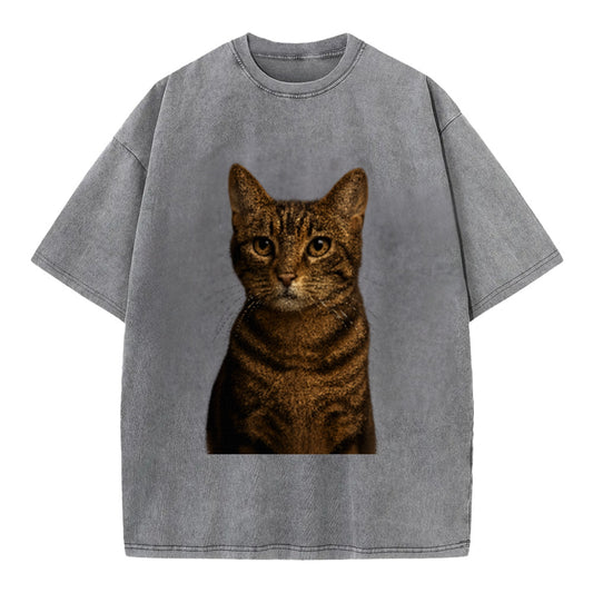 brown-tabby-playful-spirit Hat