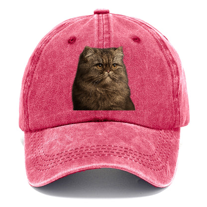 persian-regal-majesty Hat