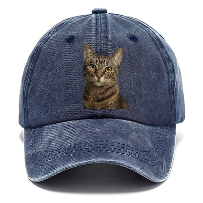 curious-cat-inquisitive-nature Hat