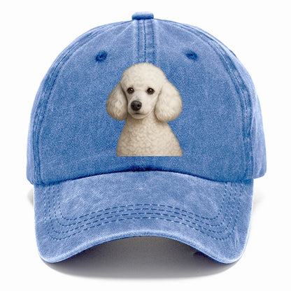 poodle elegant companion Hat