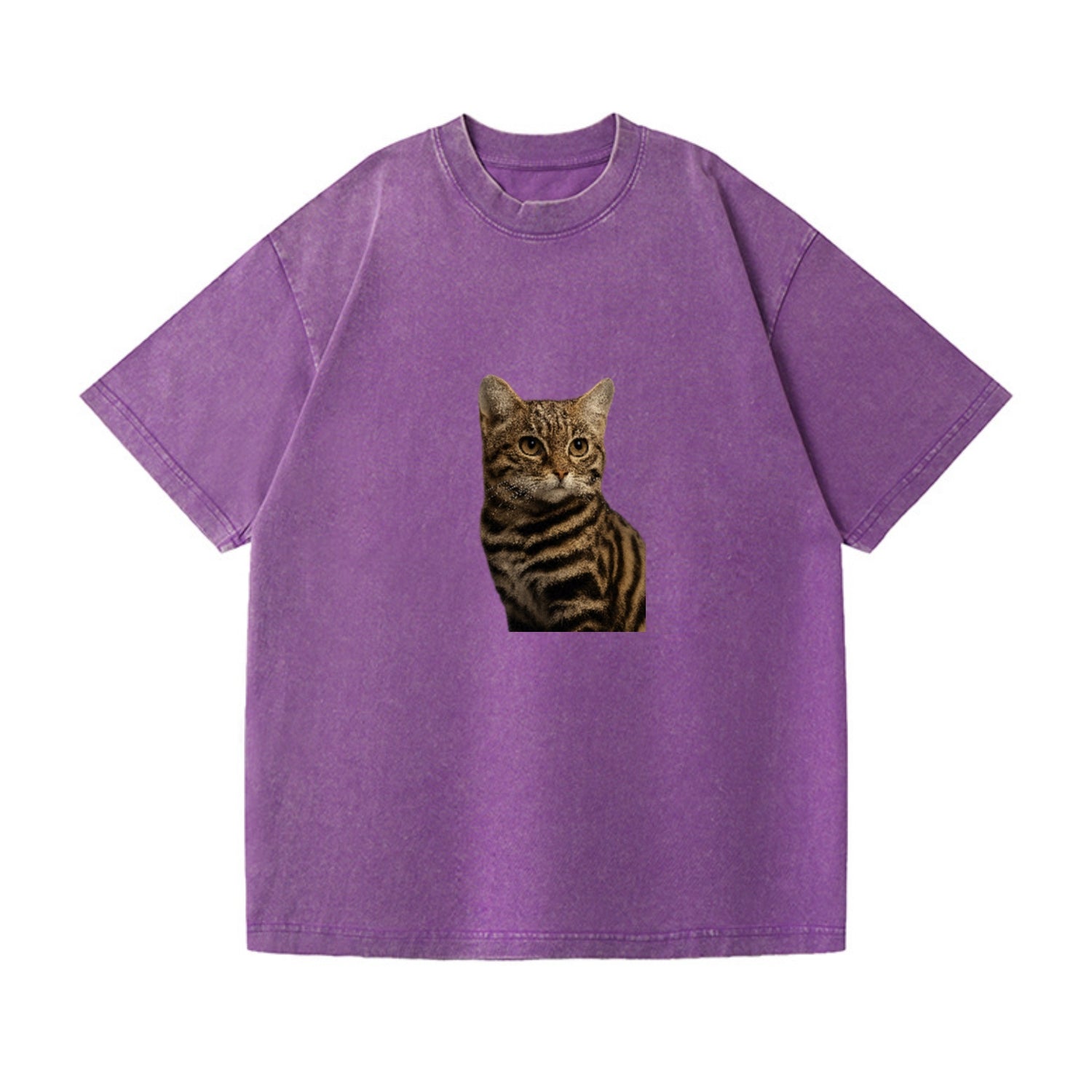 blackfooted-cat-elusive-hunter Hat