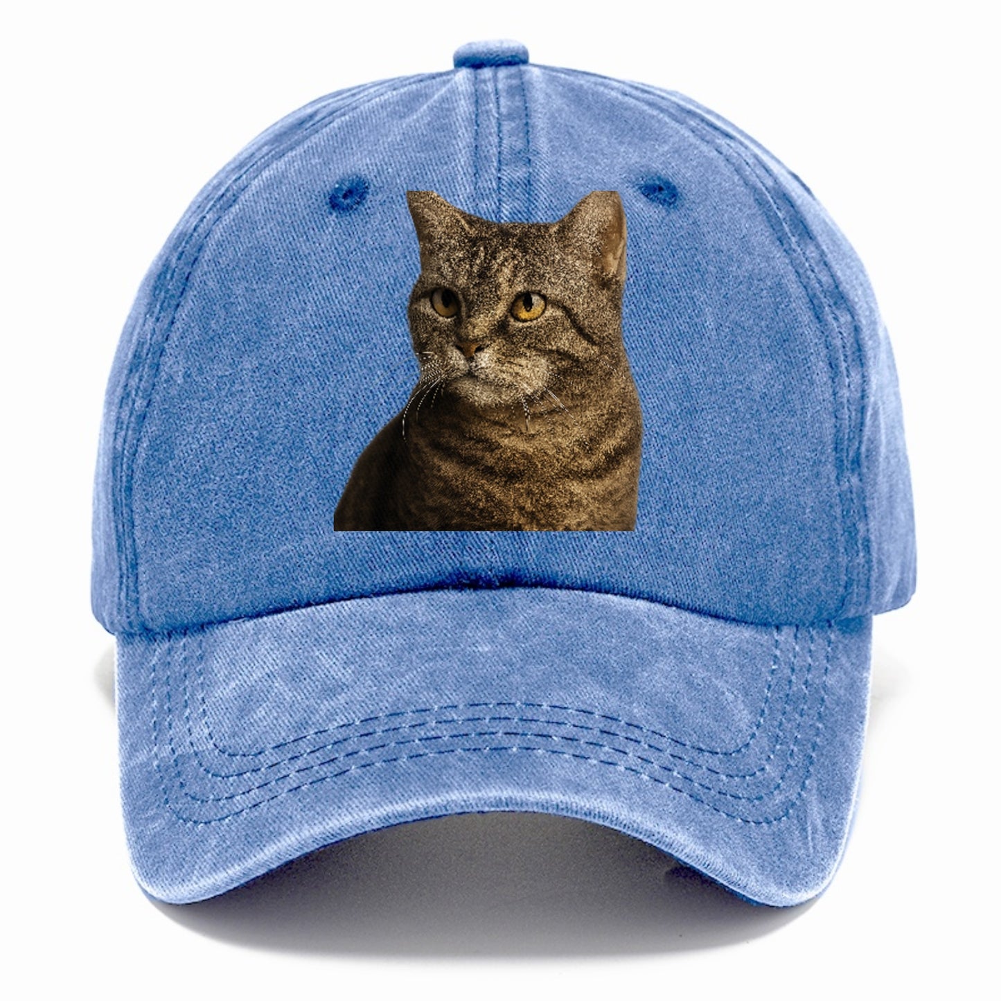american-wirehair-unique-texture Hat