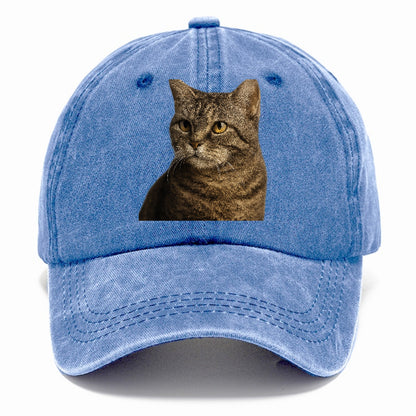 american-wirehair-unique-texture Hat