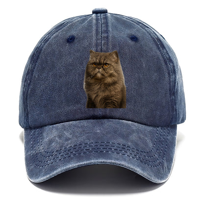 persian-cat-regal-elegance Hat