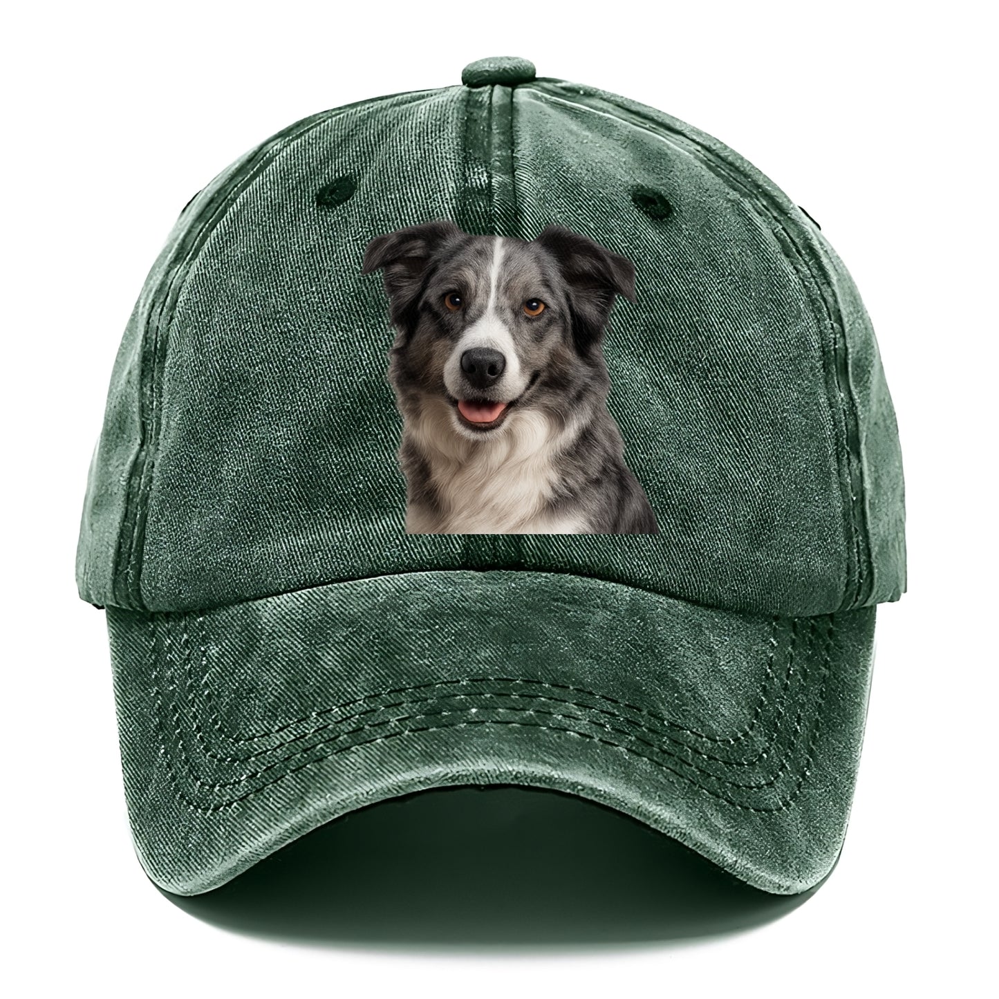 blue merle border collie agile mind Hat