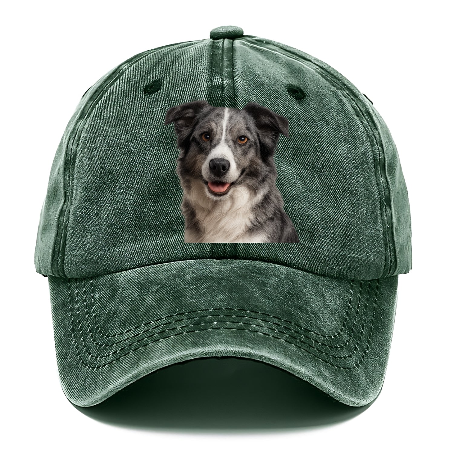 blue merle border collie agile mind Hat