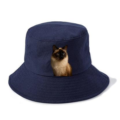 birman-gentle-charm Hat