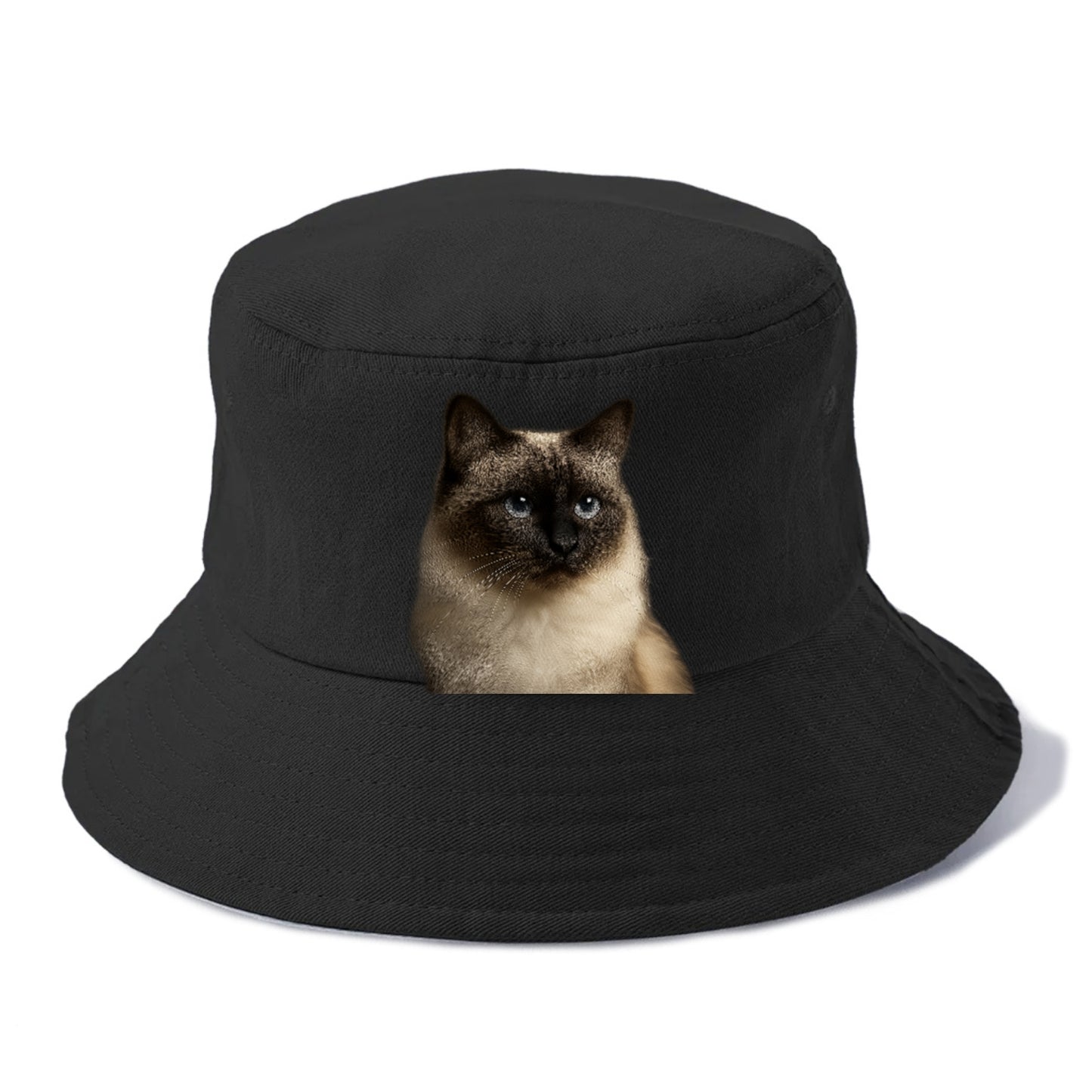 birman-cat-serene-elegance Hat