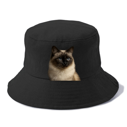 birman-cat-serene-elegance Hat