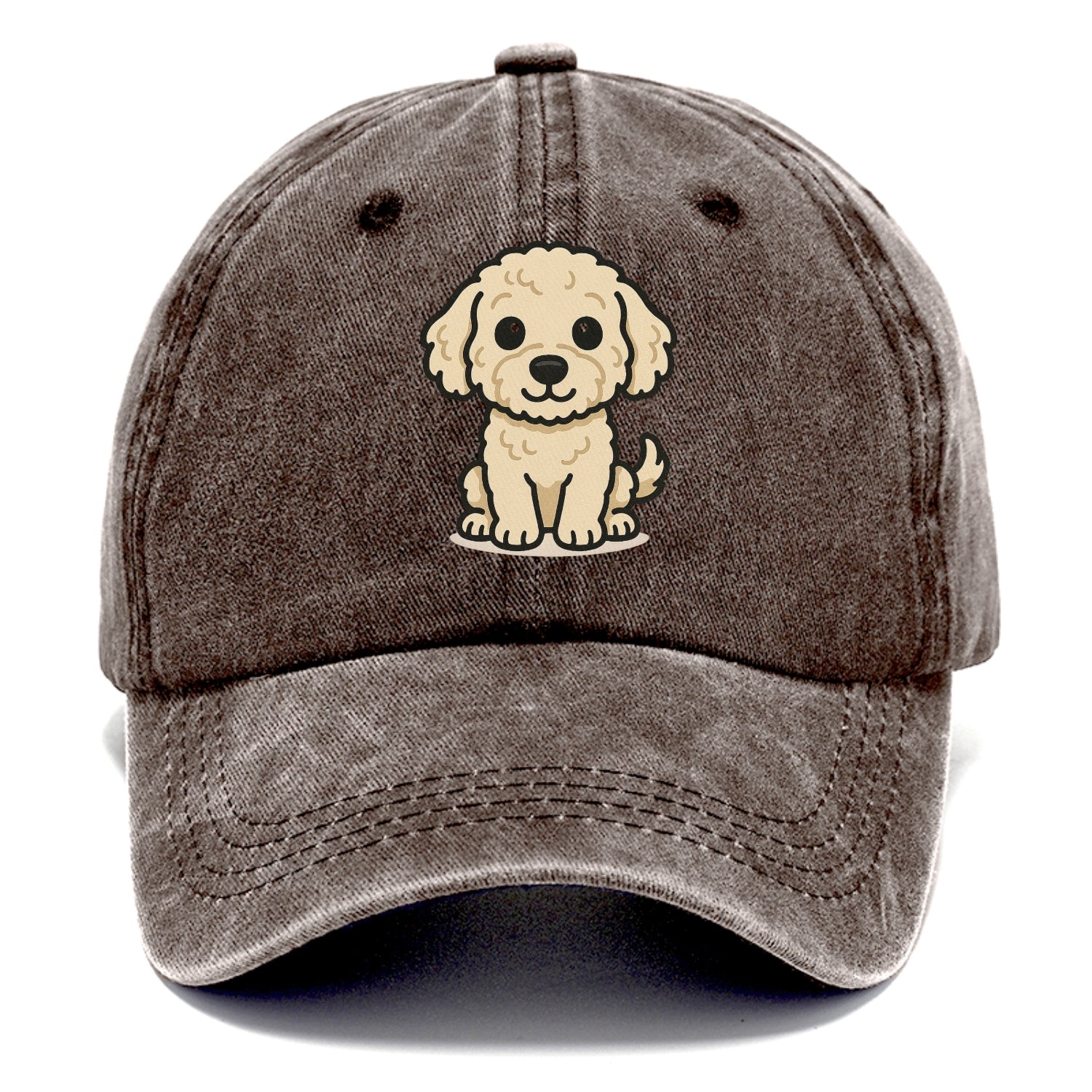 labradoodle curly cream sitting pose portrait design Hat