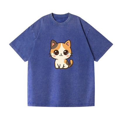 calico-vibrant-spirit Hat