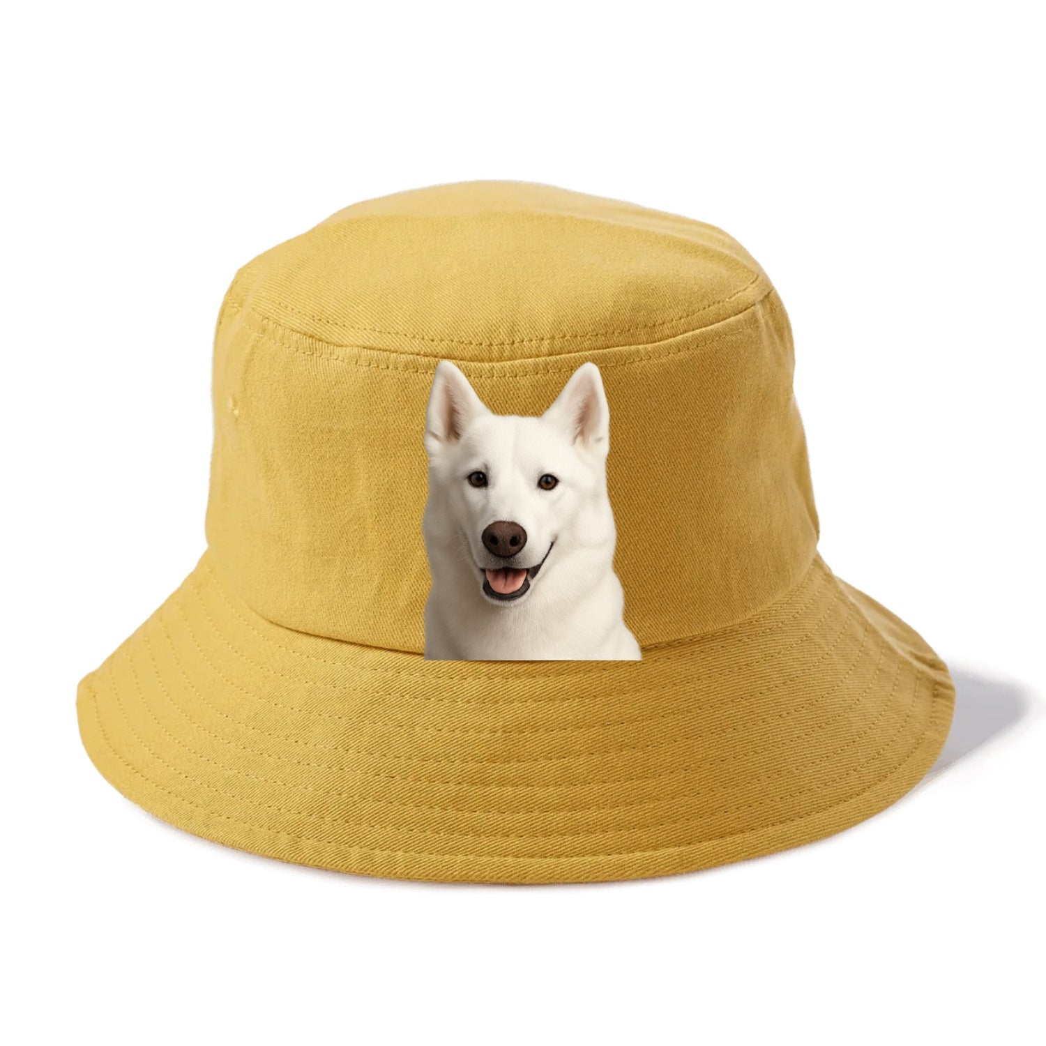 husky arctic adventure Hat