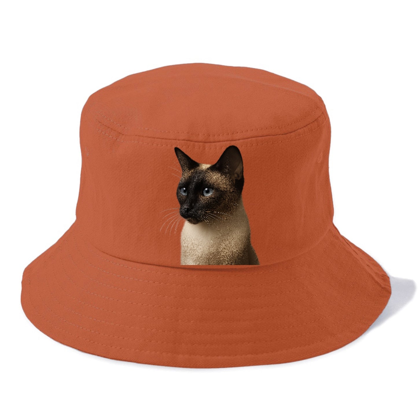 seal-point-siamese-elegance Hat