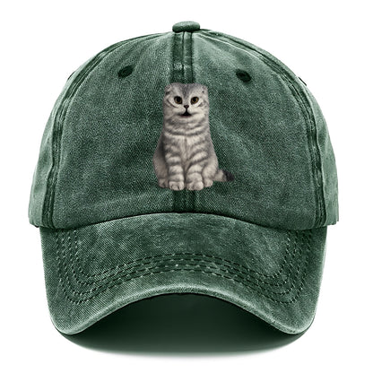 surprised striped cat whimsical portrait Hat