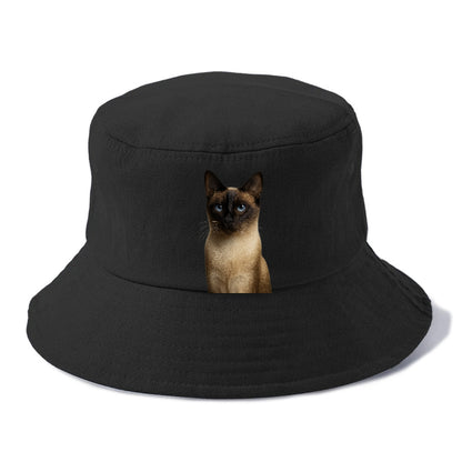 seal-point-siamese-mystical-charm Hat