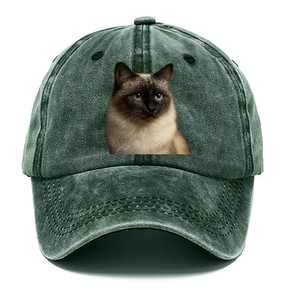 birman-cat-serene-elegance Hat