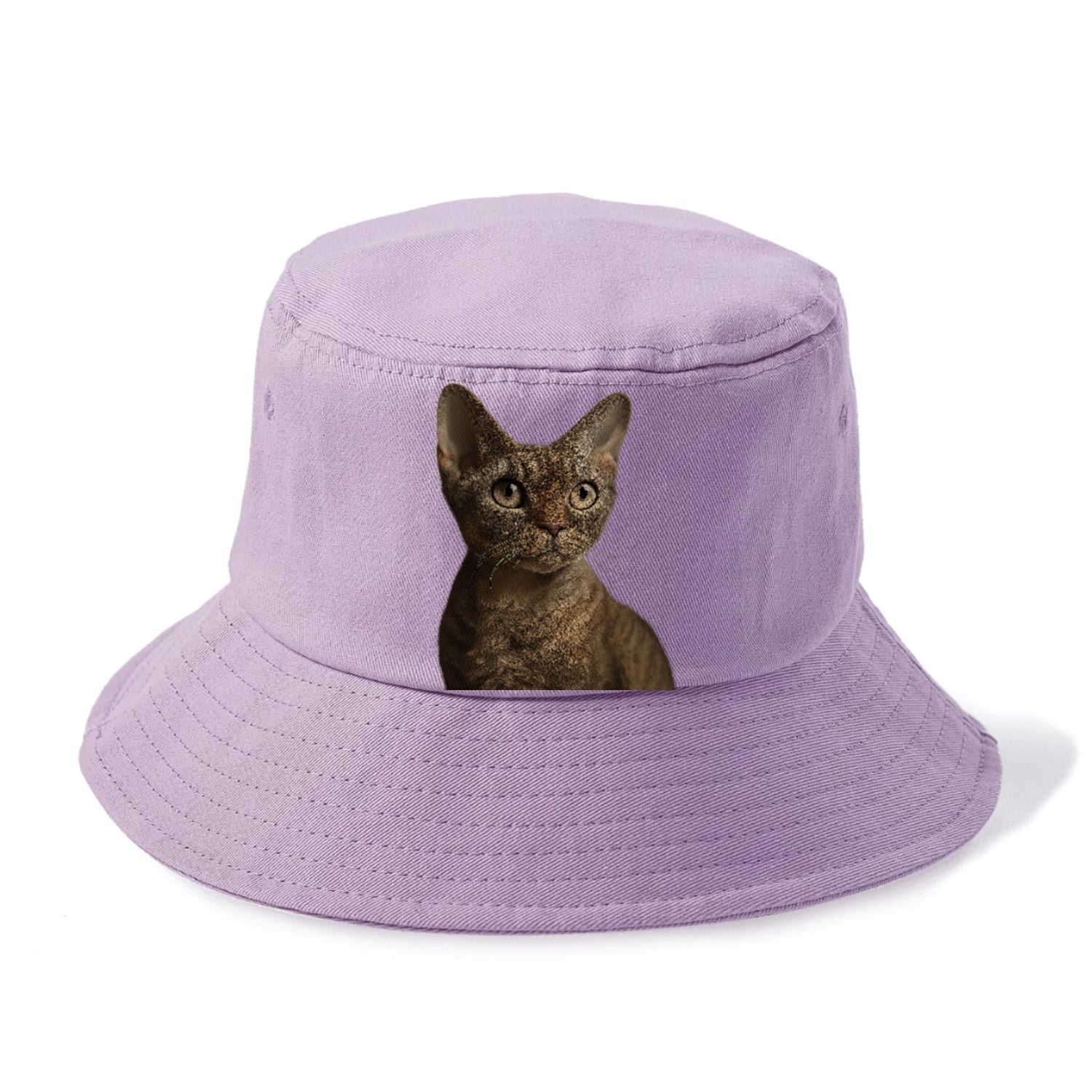 devon-rex-playful-spirit Hat