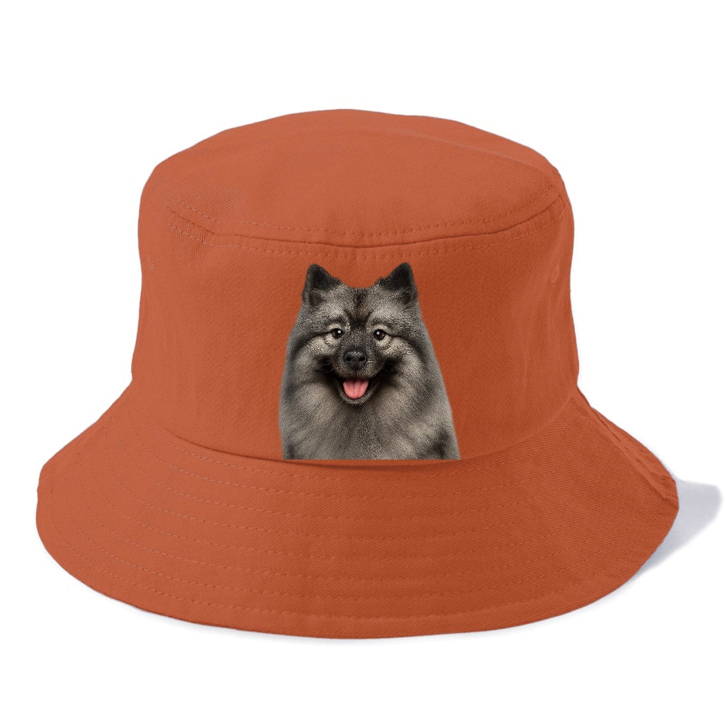 keeshond: silver fox, golden heart Hat