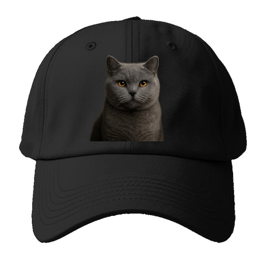 british shorthair dignified charm Hat