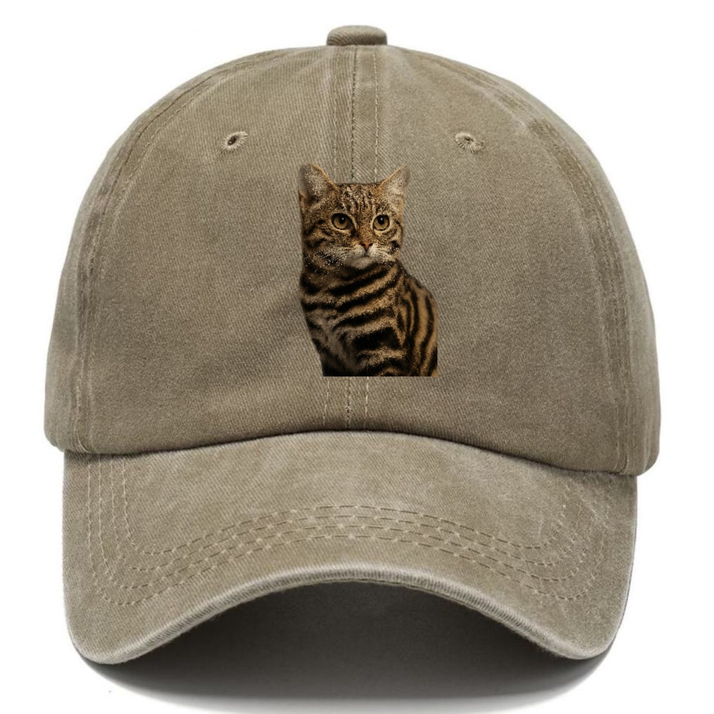 blackfooted-cat-elusive-hunter Hat