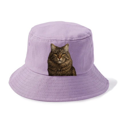 maine coon majestic feline Hat