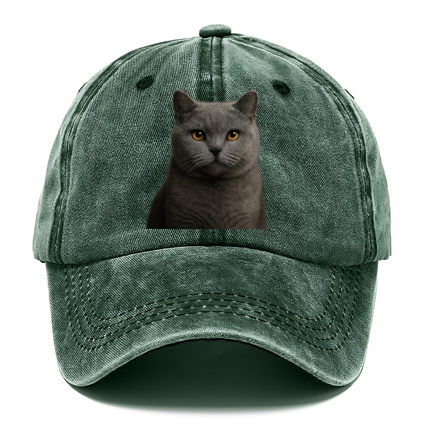 british shorthair dignified charm Hat