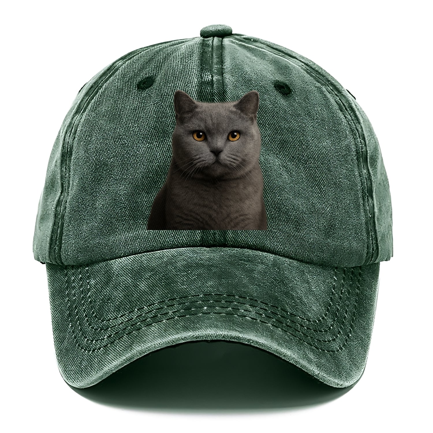 british shorthair dignified charm Hat