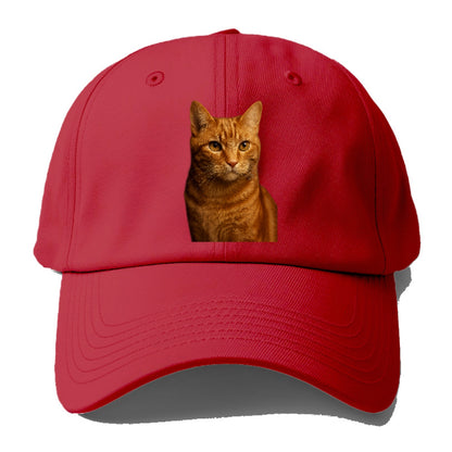 orange-tabby-playful-purr Hat
