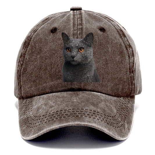 chartreux-regal-charm Hat