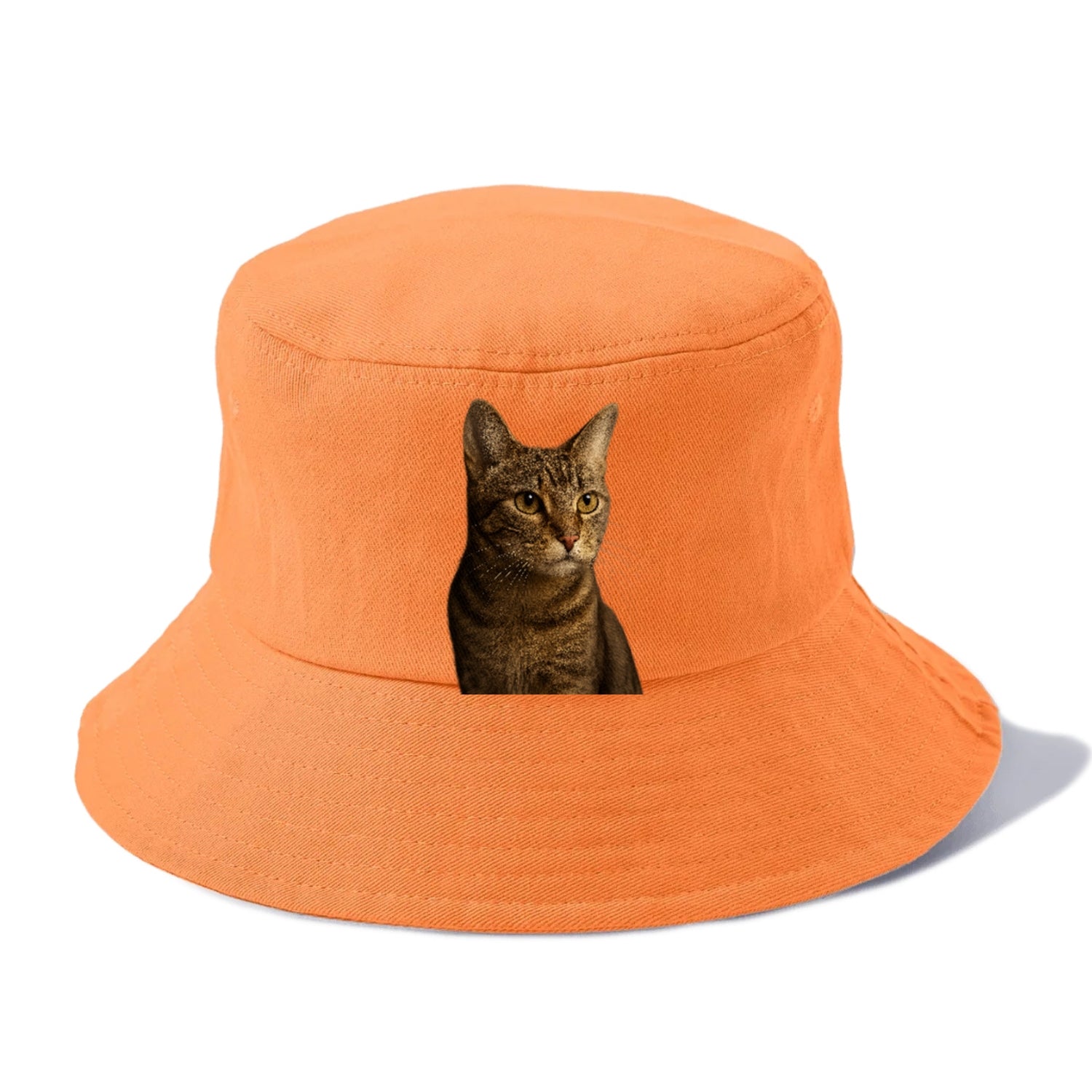 playful-cat-playful-spirit Hat