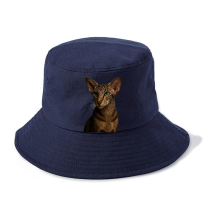 oriental-shorthair-sleek-charm Hat